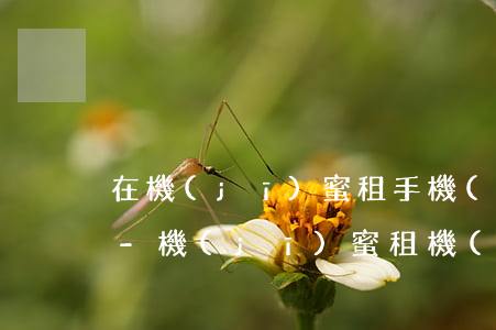 在機(jī)蜜租手機(jī)逾期被起訴-機(jī)蜜租機(jī)到期了怎么辦