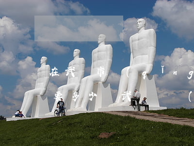 在武漢市請(qǐng)律師打離婚官司需要多少錢(武漢專業(yè)離婚律師)