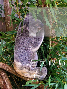 在民政局簽的離婚協(xié)議有法律效力嗎