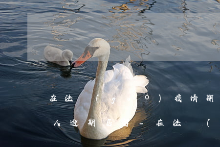 在法國(guó)疫情期間外國(guó)人逾期居留-在法國(guó)疫情期間外國(guó)人逾期居留怎么處理
