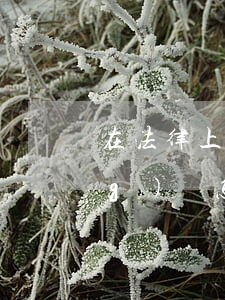 在法律上有效的欠條怎么寫(欠條應(yīng)該怎么寫具有法律效力)