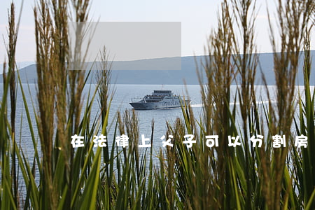 在法律上父子可以分割房产吗