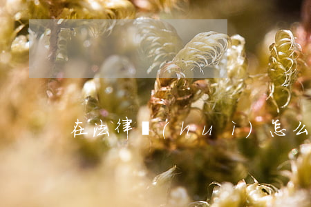 在法律會(huì)怎么做(法事怎么做)