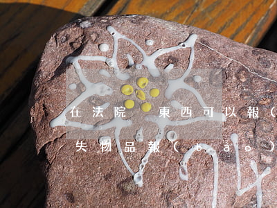 在法院丟東西可以報(bào)警嗎(公民遺失物品報(bào)警需要受案嗎)