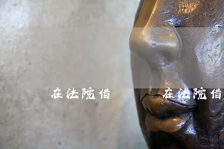 在法院借錢還錢(在法院借錢還錢流程)