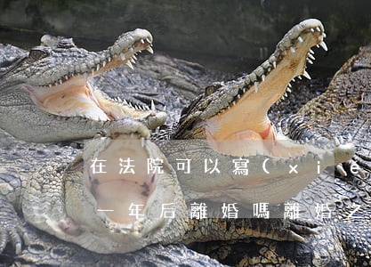在法院可以寫(xiě)好協(xié)議一年后離婚嗎(離婚之前寫(xiě)的協(xié)議書(shū)有效嗎)