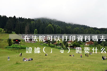 在法院可以打印資料嗎(去法院復(fù)印證據(jù)需要什么資料)
