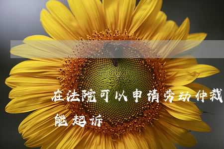 在法院可以申请劳动仲裁吗(劳动仲裁后能不能起诉)