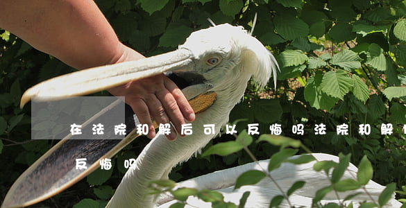 在法院和解后可以反悔吗(法院和解协议可以反悔吗)