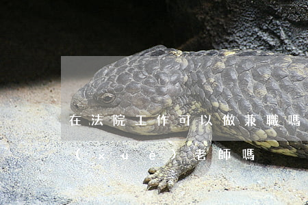 在法院工作可以做兼職嗎(法官可以兼職大學(xué)老師嗎)