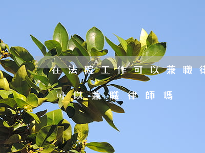 在法院工作可以兼職律師嗎(司法局工作人員可以兼職律師嗎)
