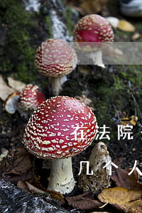 在法院开庭可以吗人吗(法院开庭原告可以去几个人)