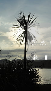 在法院有案件可以貸款嗎(被法院立案還能貸款嗎)