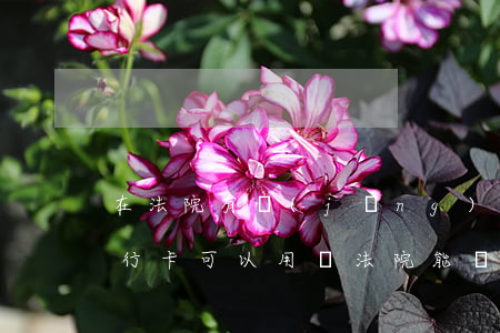 在法院有經(jīng)濟(jì)糾紛銀行卡可以用嗎(法院能執(zhí)行信用卡里面的錢嗎)