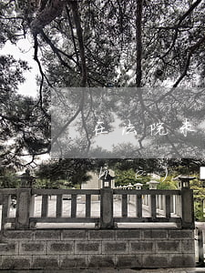 在法院未執(zhí)行之前可以賣設(shè)備嗎