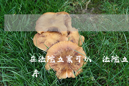 在法院立案可以嗎(法院立案以后還有哪些程序)