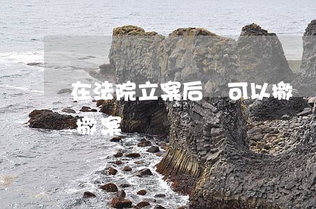 在法院立案后還可以撤訴嗎(法院立案后還能撤案嗎)