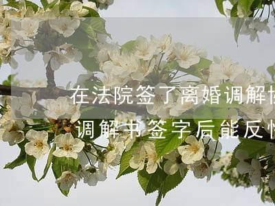 在法院签了离婚调解协议书可以反悔吗(离婚调解书签字后能反悔法院怎么办)