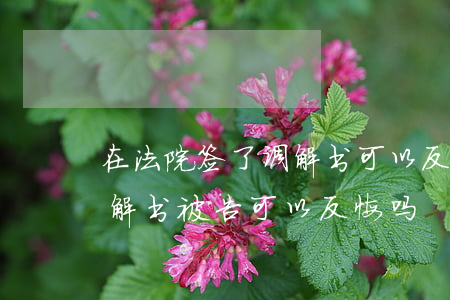 在法院签了调解书可以反悔吗(法院的民事调解书被告可以反悔吗)