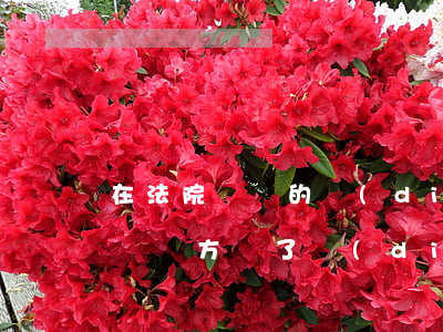 在法院簽過的調(diào)解書可以變更嗎(雙方簽了調(diào)解協(xié)議書,以后還需要來法院嗎)