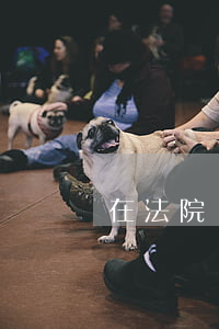在法院開庭前撤銷起訴的訴訟費可以退回嗎
