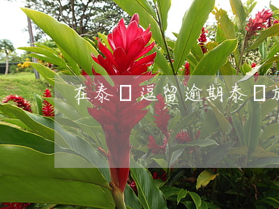 在泰國逗留逾期(泰國旅游逗留期)