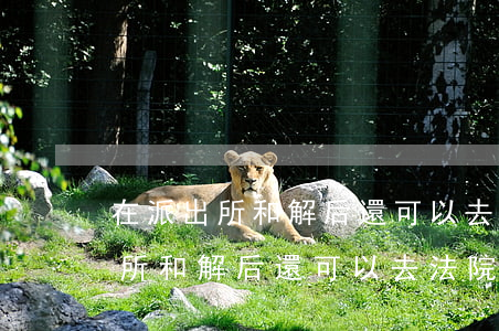 在派出所和解后還可以去法院起訴嗎(在派出所和解后還可以去法院起訴嗎)