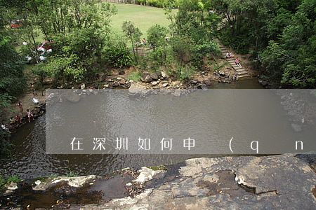 在深圳如何申請(qǐng)公益律師
