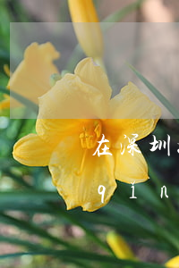 在深圳如何申請(qǐng)公益律師(請(qǐng)公益律師需要什么條件)