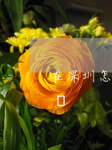 在深圳怎么找免費律師(深圳免費律師在線咨詢)