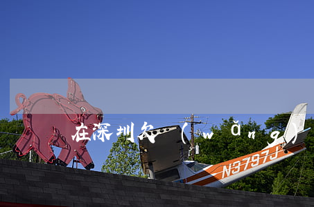 在深圳欠網(wǎng)貸