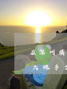 在深圳请个律师大概多少钱(在深圳请个律师大概多少钱)