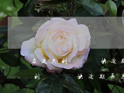 在澳大利亞簽證快逾期再怎么延期-在澳大利亞簽證快逾期再怎么延期呢