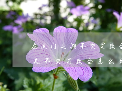在澳门逾期不交罚款会怎么处理-在澳门逾期不交罚款会怎么处理呢