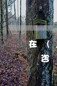 在濟(jì)南怎么找律師(濟(jì)南律師咨詢免費(fèi)咨詢)
