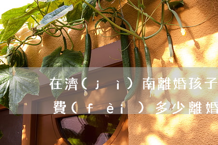 在濟(jì)南離婚孩子撫養(yǎng)費(fèi)多少(離婚后小孩子的撫養(yǎng)費(fèi)需要給多少)