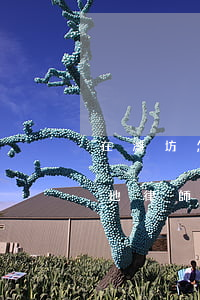 在濰坊怎么找宅基地律師(在濰坊怎么找宅基地律師)