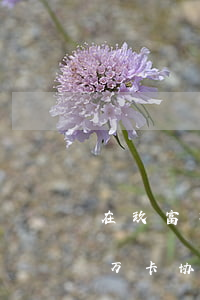 在玖富万卡协商还款却一直没扣款-在玖富万卡协商还款却一直没扣款怎么办