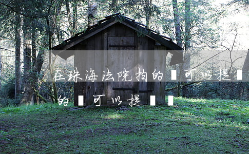 在珠海法院拍的車可以提擋嗎(在珠海法院拍的車可以提擋嗎)