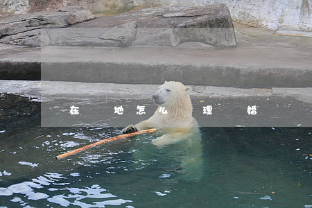在異地怎么辦理離婚