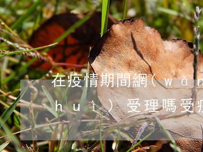 在疫情期間網(wǎng)貸逾期法院會(huì)受理嗎(受疫情影響網(wǎng)貸可以延期還款嗎)