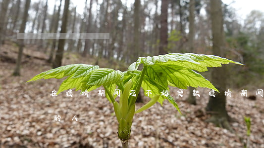 在疫情期间还不起贷款(疫情期间还不起贷款的人)