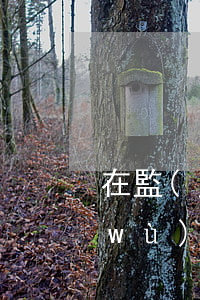 在監(jiān)獄呆過可以去律師事務(wù)所嗎(律師可以去監(jiān)獄探監(jiān)嗎)