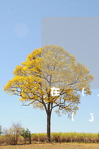 在監(jiān)獄期間信用卡逾期(因為進監(jiān)獄導致信用卡逾期)