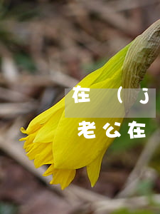 在監(jiān)獄里的服刑人員怎么離婚(老公在監(jiān)獄服刑,如何辦理離婚手續(xù))