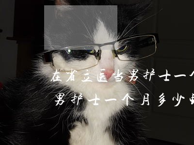 在省立医当男护士一个月多少钱(在省立医当男护士一个月多少钱)