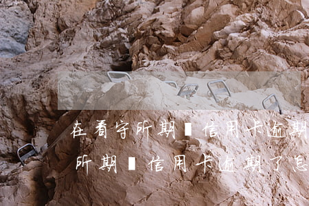 在看守所期間信用卡逾期了怎么辦-在看守所期間信用卡逾期了怎么辦理