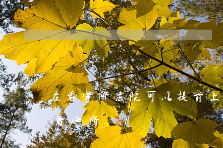 在看守所法院可以提前上訴嗎(上訴期間是在看守所嗎)