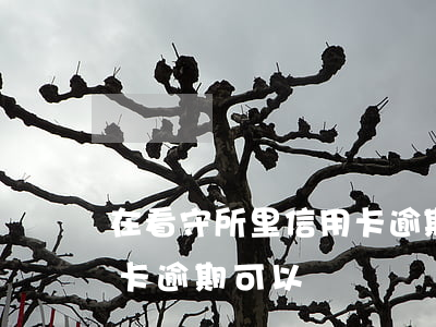 在看守所里信用卡逾期怎么辦（進看守所信用卡逾期可以復議）