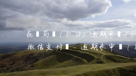 在稅局補(bǔ)逾期申報(bào)可以微信支付嗎-逾期未申報(bào)可以在電子稅務(wù)局補(bǔ)申報(bào)嗎